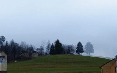 Pugnrad ostaja zelen in nepozidan!