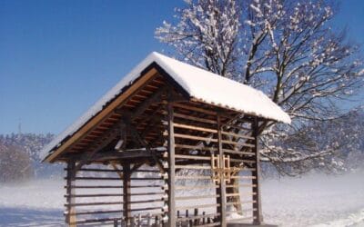 Kozolec pod Tičnico – srce za Logatec