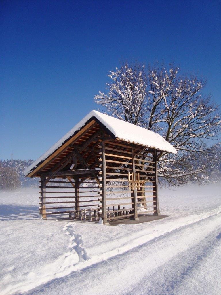 Dogodki in zanimivosti-Zavod pod kozolcem3
